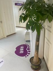 -广州美莱医疗美容医院