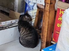 -西安面馆(万达金街店)