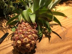 -Bco豆库(星耀天地店)