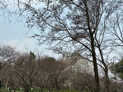-杭州植物园