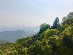 -莫干山风景区