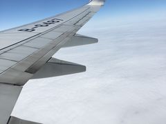 -八婆婆烧仙草(中山路店)