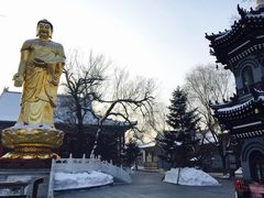 -哈尔滨极乐寺