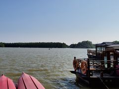 -上海海湾国家森林公园