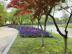 -上海鲜花港