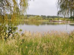 -东郊湿地公园