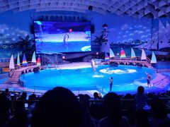 -海合安武汉极地海洋公园