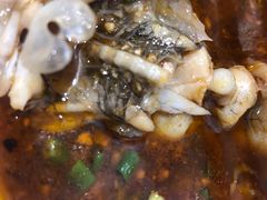 -大味美蛙鱼头(遂宁总店)