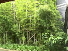 -龙潭水乡