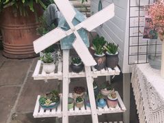 -麓茶