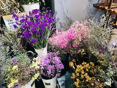 -何兮花店·气球派对鲜花店(马桥银春路万科城店)