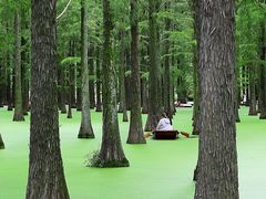 -渌洋湖湿地公园