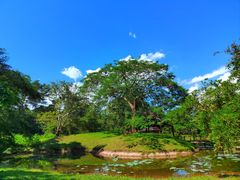 -中国科学院西双版纳热带植物园