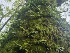 -河姆渡遗址博物馆