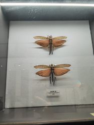 -酷嗒动物文化乐园(cutezoo西溪乐天城店)