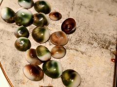 -闻见中国海南菜(K11店)