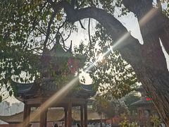 -宝通禅寺