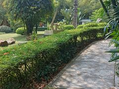 -晓港公园