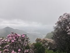 -梧桐山风景名胜区