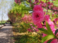 -永定河休闲森林公园