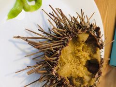 -海胆小馆(东北水饺·春柳店)