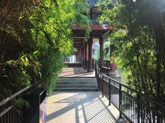 -张坝桂圆林公园