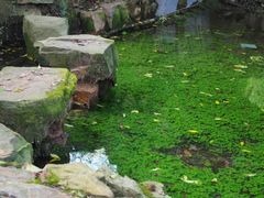 -雨花胜境