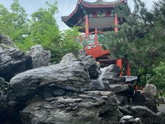 -莲花池公园
