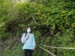 -少华山国家森林公园