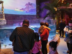 -沈阳海洋探索中心