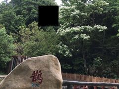 -神光山国家森林公园