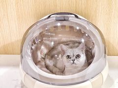 -Double Rui宠物酒店