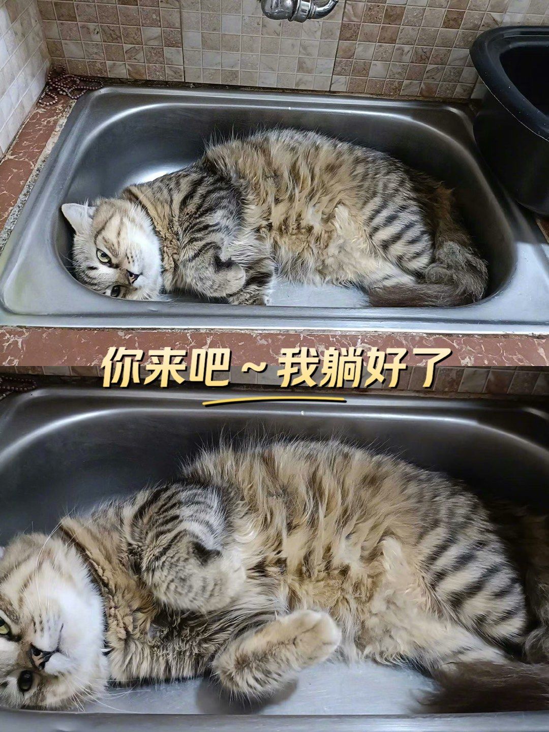 你来吧～～～我躺好了