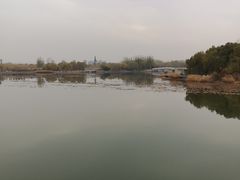 -大兴滨河森林公园