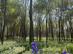-太行锡崖沟旅游度假区