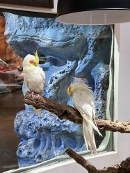 -Zoolung Zoolung动物主题公园(海信广场店)