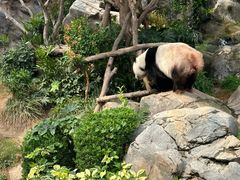 -香港海洋公园