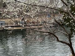 -安定门(地铁站)