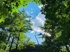 -阳台山自然风景区