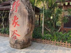 -野象谷景区