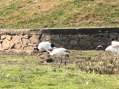 -哈尔滨北方森林动物园