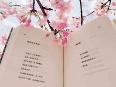 -首开·龙湖成都西宸天街