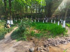 -重庆彩云湖湿地公园