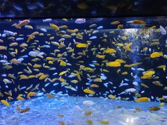 -成都浩海立方海洋公园