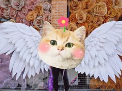 -云间粮仓
