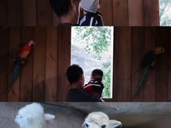 -杭州开元森泊度假乐园