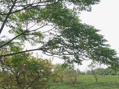 -敬亭山风景名胜区