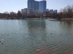 -西海子公园