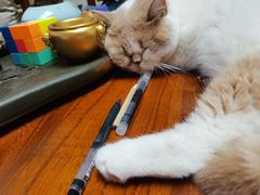 -山之川日料放题(通州店)