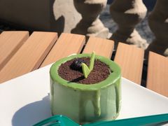 -星巴克(天津五大道店)